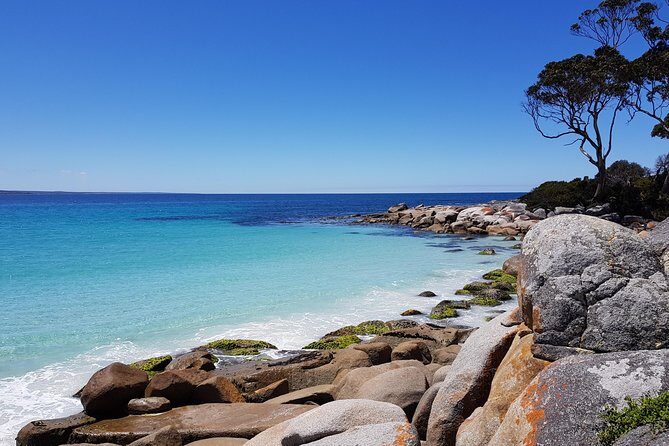 Tasmania 5 Day East Coast Tour - Key things that make this tour worth a look