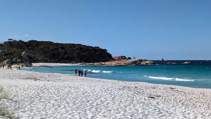 Tasmania: 6-Day Comfort Tour for Wilderness and Wildlife - Freycinet National Park and Wineglass Bay Lookouts to Eaglehawk Neck