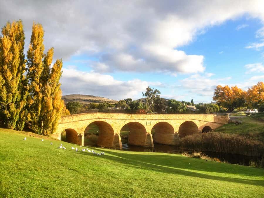 Tasmania: 6-Day Comfort Tour for Wilderness and Wildlife - Price and What’s Actually Included (So You Don’t Get Surprised)