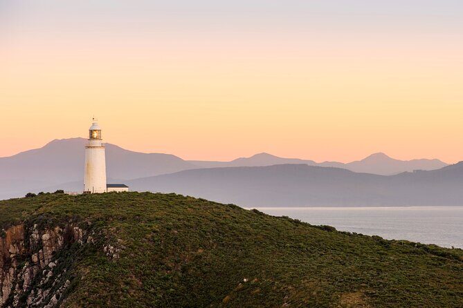 Tasmania 8 Day - Tour in Circle - Day 5: Launceston city charm, Marakoopa caves, and wombat time