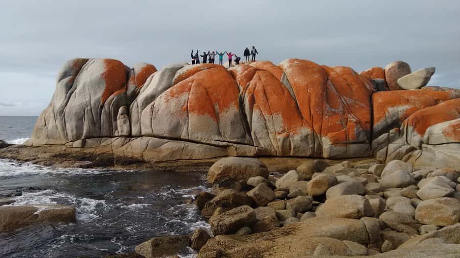 Tasmania: Wilderness and Wildlife Guided 6-Day Tour - Tasmania without a rental car: the value of this route