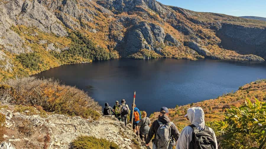 Tasmania: Wilderness and Wildlife Guided 6-Day Tour - Day 1: Hobart to Strahan through Mount Field and Lake St Clair