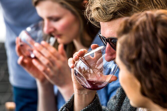 Tasmanian Premium Wine Tour with Tasmanian Cheese Platter - From Franklin Wharf to cellar doors: what the day feels like