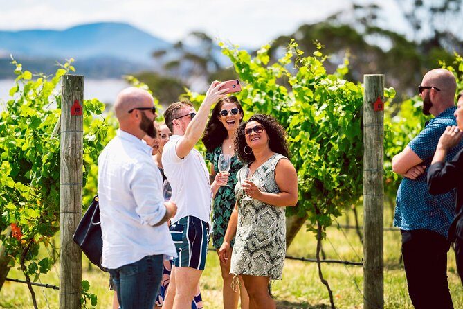 Tasmanian Premium Wine Tour with Tasmanian Cheese Platter - What to expect from your host and the pacing