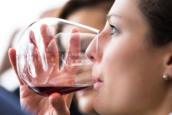 Tasmanian Premium Wine Tour with Tasmanian Cheese Platter - Pickup, timing, and the small-group vibe (10:30am matters)