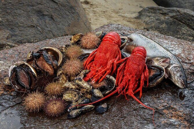 Tasmanian Seafood Gourmet Full-Day Cruise Including Lunch - The Day in One Breath