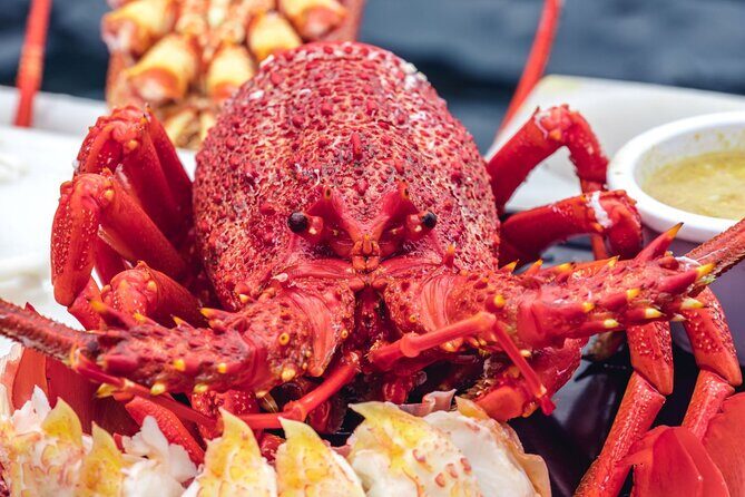 Tasmanian Seafood Gourmet Full-Day Cruise Including Lunch - The Food: A Real Gourmet Spread, Not a Token Platter