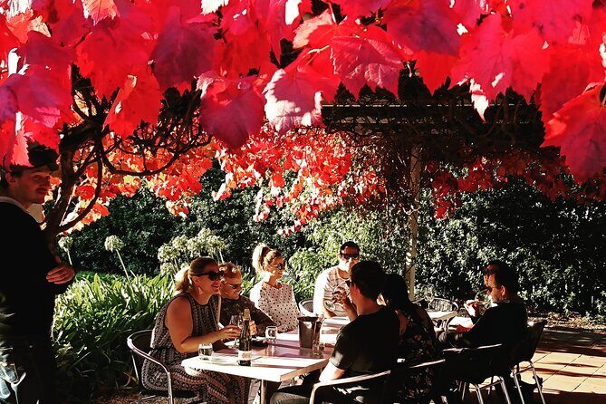 Valleys of Vino Full Day Tour - Quick hits on this Valleys of Vino day