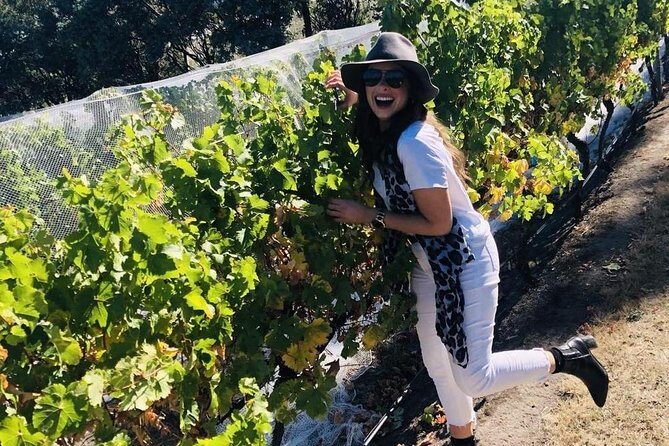 Valleys of Vino Full Day Tour - The cheese tasting at The Wicked Cheese Co. is the smartest break