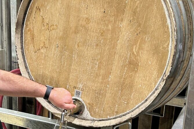 Wine, Gin & Whisky Tour - Hobart & SE Tasmania - Wicked Cheese Co.: A Dedicated Cheese Tasting Finish