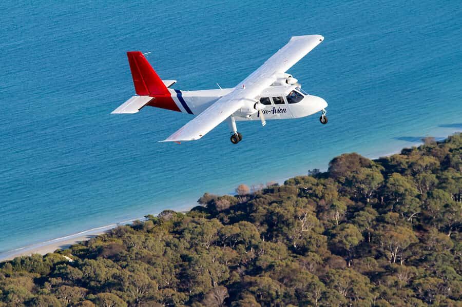 Wineglass Bay and Maria Island Scenic Flight Experience - Wildlife Encounters Without Fences: How to Enjoy It (and Not Get in Its Way)