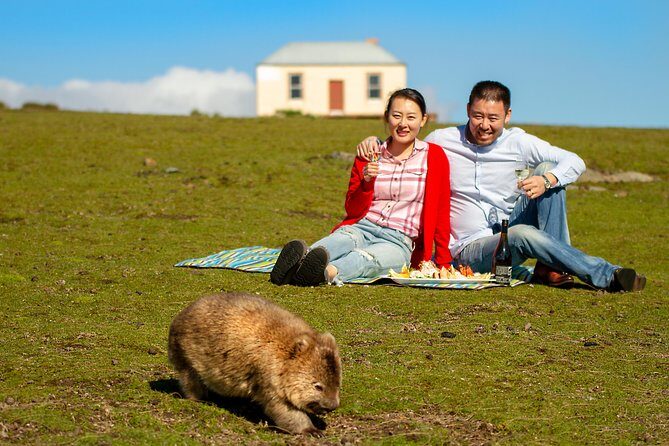 Wineglass Bay And Maria Island Wildlife Scenic Flight From Hobart - Key highlights worth aiming for