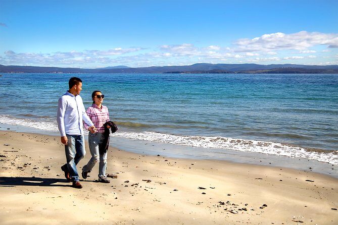 Wineglass Bay And Maria Island Wildlife Scenic Flight From Hobart - Practical tips to help you have an easy day