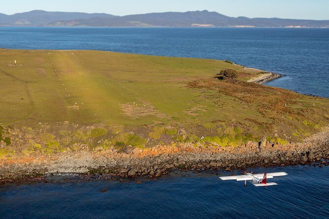 Wineglass Bay And Maria Island Wildlife Scenic Flight From Hobart - Price and logistics: is it worth $357.90?