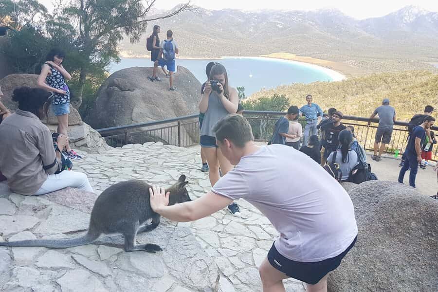 Wineglass Bay & Freycinet National Park Day Trip from Hobart - Why Wineglass Bay Looks Like a Real-Life Postcard